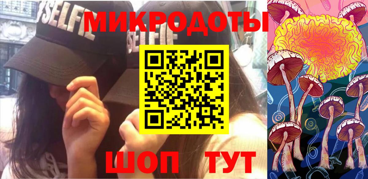 Галлюциногенные грибы Psilocybine cubensis Чистополь