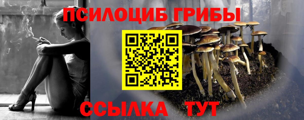 Галлюциногенные грибы MAGIC MUSHROOMS  Вход с VPN  Чистополь 